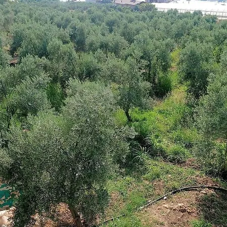 شقة Sakin Huzurlu Tatil